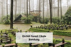 Orchid Forest Cikole Bandung